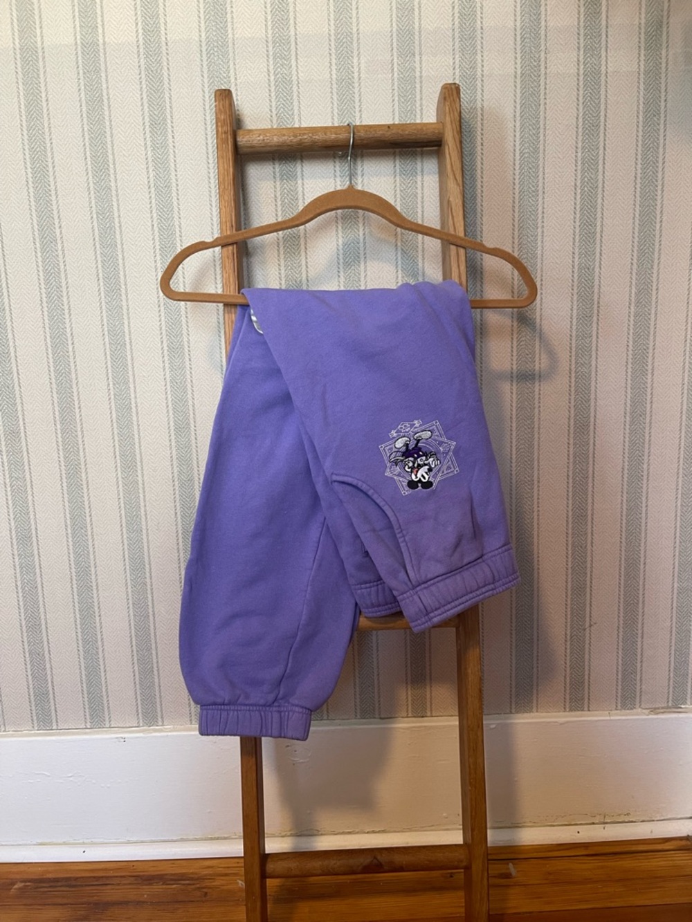 Disney Parks Purple 100 Years Of Wonder Jogger Pants